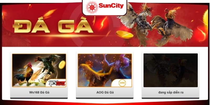 Tổng quan chung về đá gà Suncity888